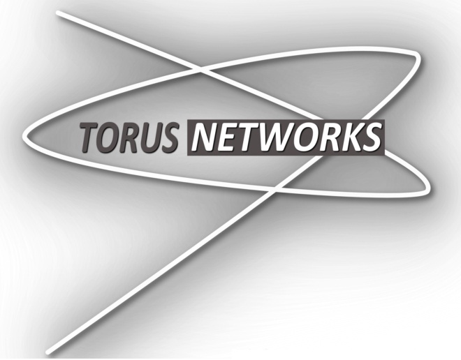Torus-Networks